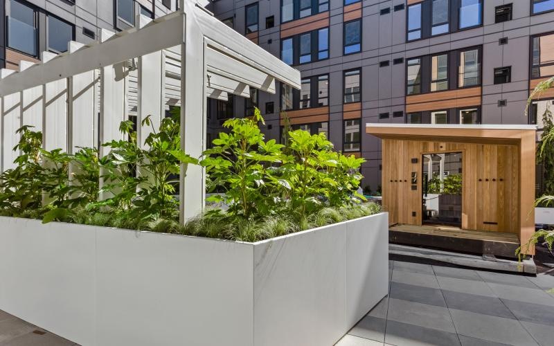 a white wall with plants in front of a building