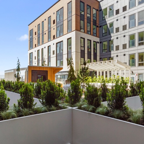 a patio with plants and buildings